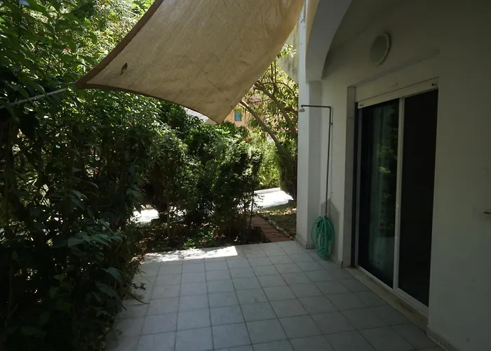 Sofia'S House